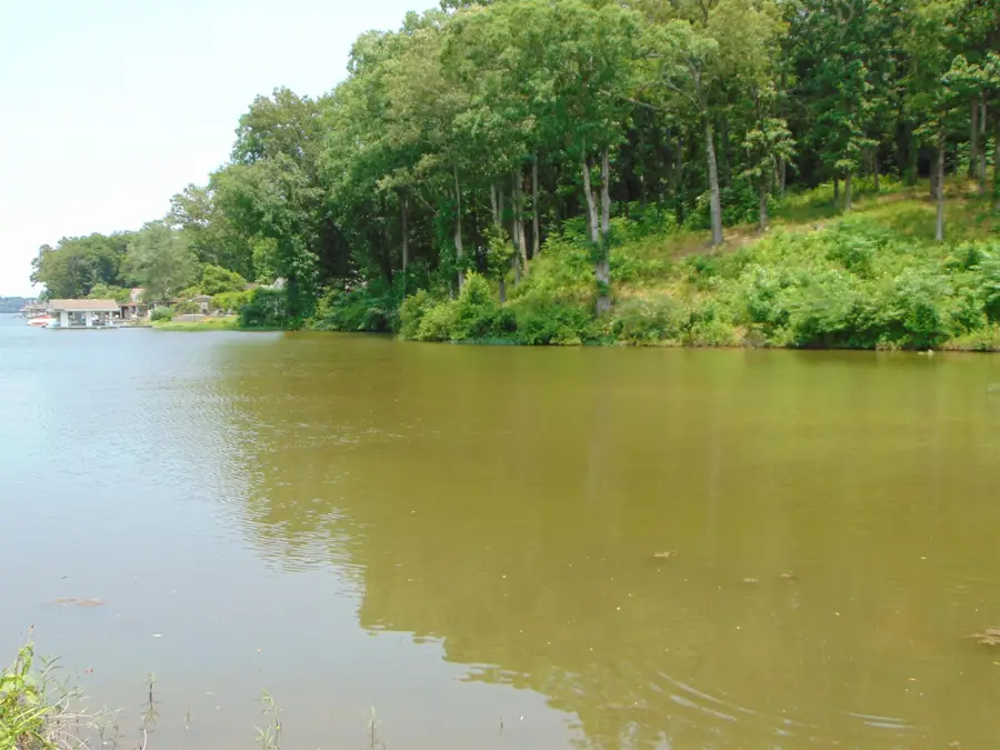 005 Wilson Lake Shores Rd, Muscle Shoals, AL 35661 - Image #2