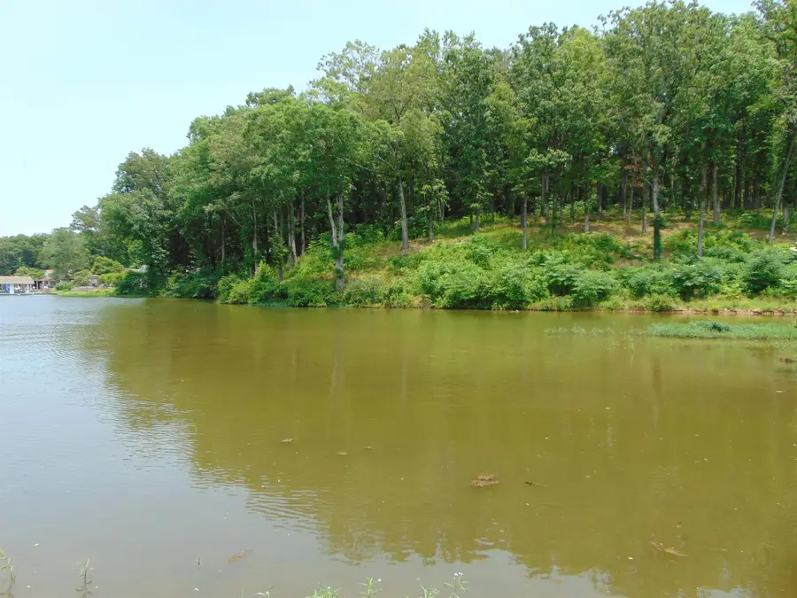 006 Wilson Lake Shores Rd, Muscle Shoals, AL 35661 - Image #2