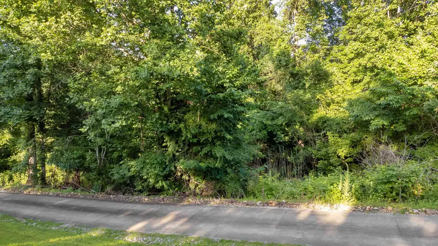 157 Shoals Overlook Dr, Florence, AL 35634 - Image #2