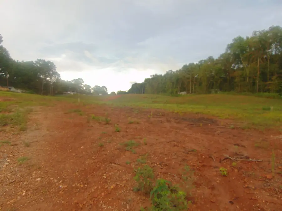 0 Co Rd 24, Florence, AL 35633 - Image #3