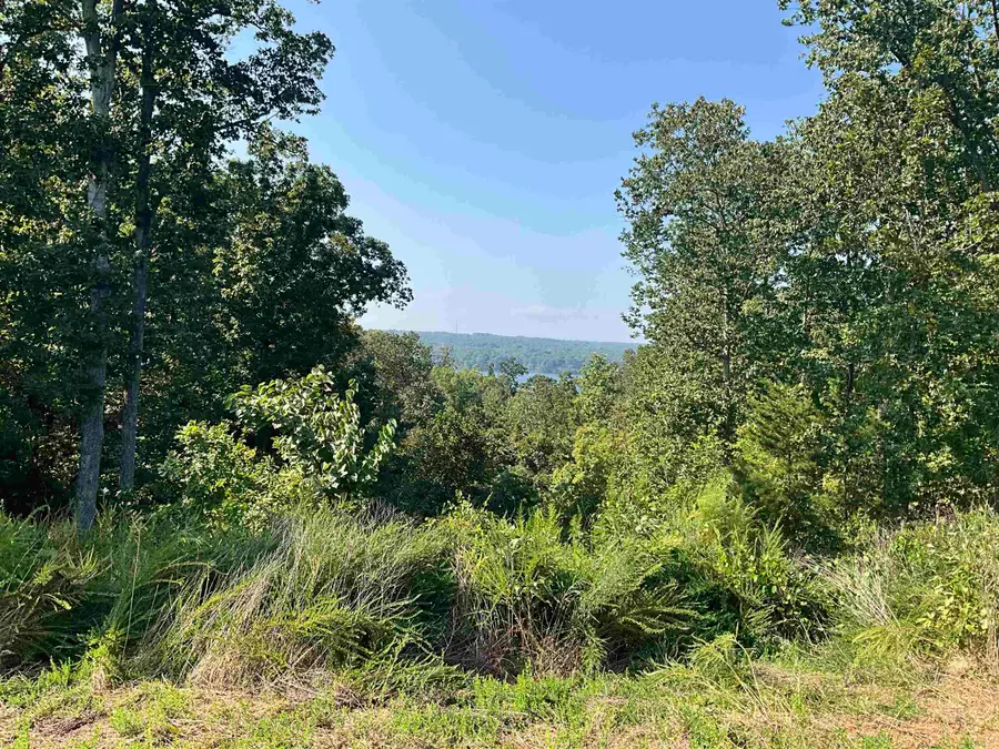 344 Wellington Rdg, Cherokee, AL 35616 - Image #3