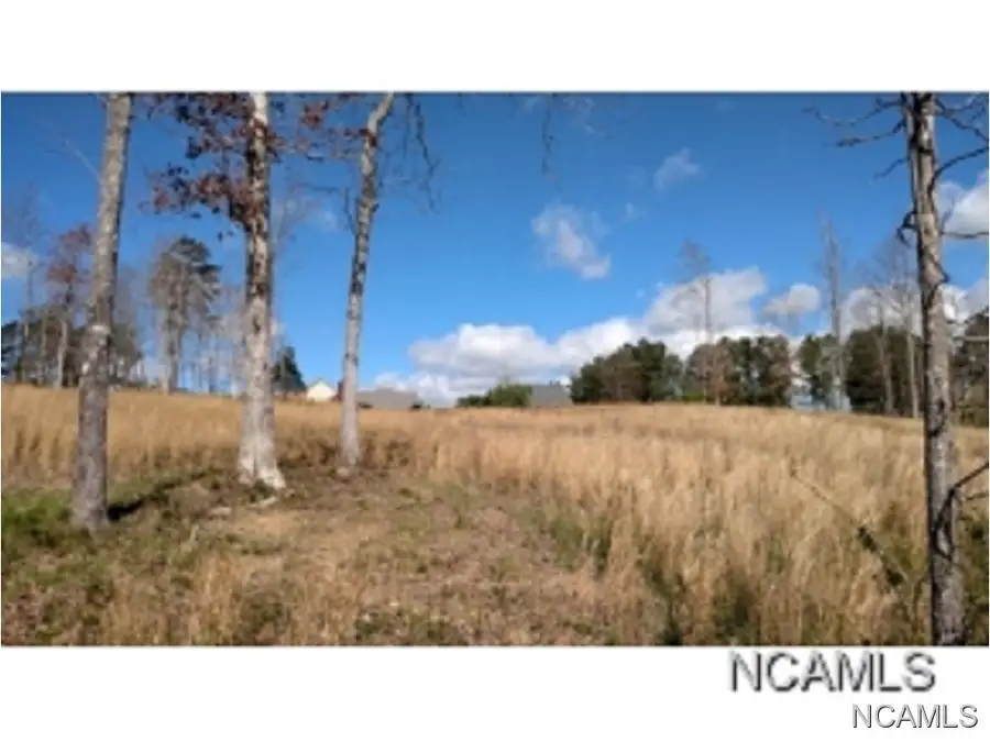 LOT 13 Loch Dr, Cullman, AL 35055 - Image #3