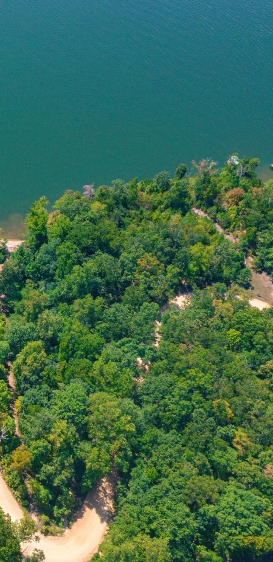 00 Paradise Dr, Waterloo, AL 35677 - Image #2