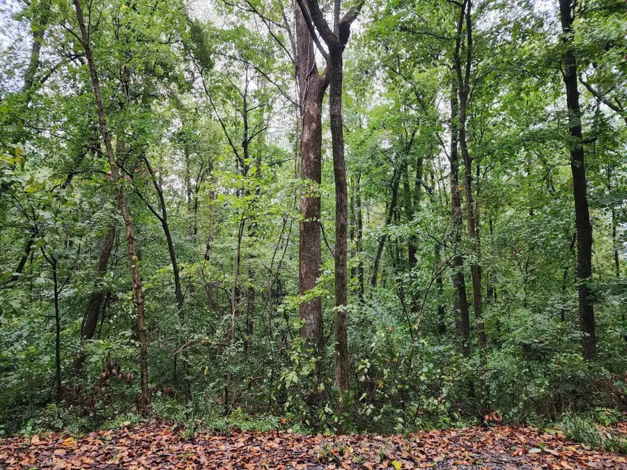 0 Oakhill Dr, Cullman, AL 35055 - Image #2