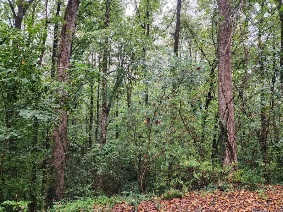 0 Oakhill Dr, Cullman, AL 35055 - Image #3