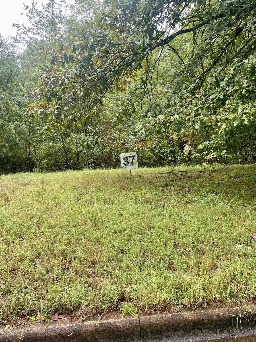 00 Wildwood Trl, Florence, AL 35630 - Image #3