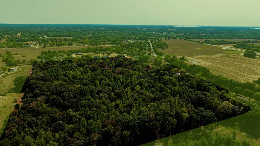 Rose St, Rogersville, AL 35652 - Image #3