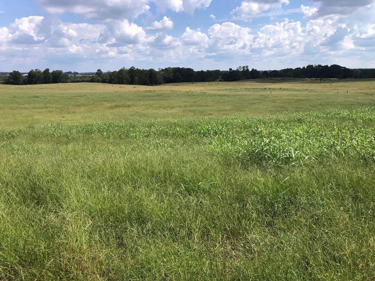 2620 Co Rd 1435, Vinemont, AL 35179 - Image #1