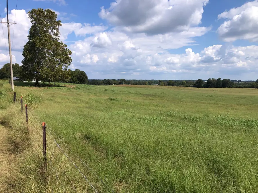 2620 Co Rd 1435, Vinemont, AL 35179 - Image #2