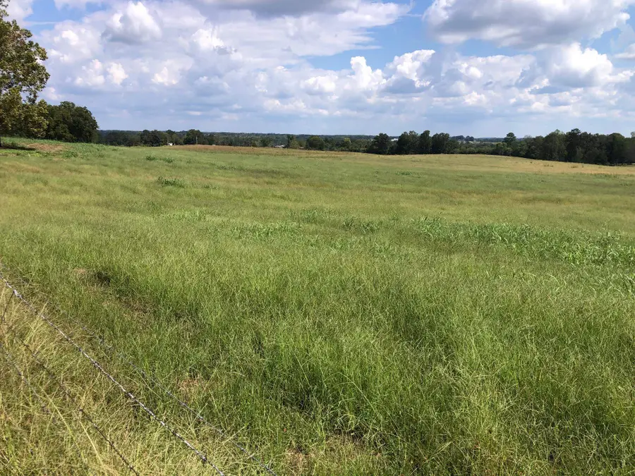 2620 Co Rd 1435, Vinemont, AL 35179 - Image #3