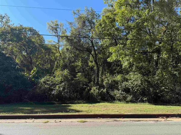 LOT 35 Pickwick St, Sheffield, AL 35660