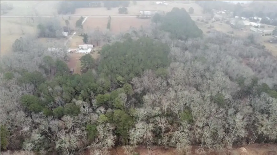 2703 Co Rd 434, Moulton, AL 35650 - Image #3