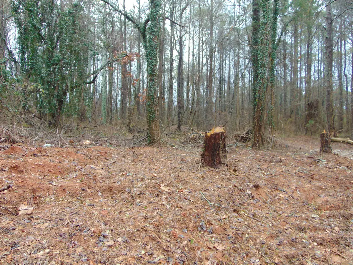 0 Carters Gin Rd, Toney, AL 35773 - Image #1