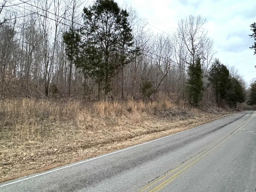 3.6 Acres Co Rd 88, Anderson, AL 35610 - #2