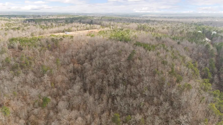 0 Co Rd 36, Bremen, AL 35033 - Image #2