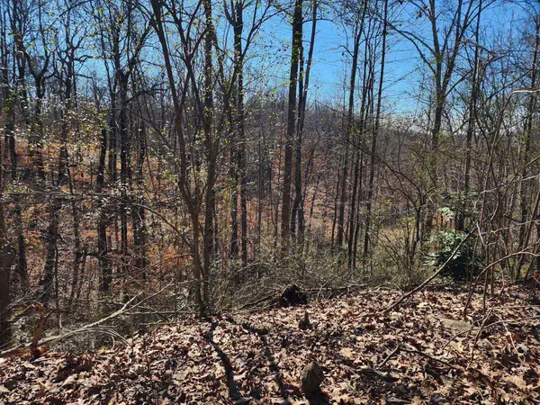 Lot 1 Acorn Ave #1, Cullman, AL 35055