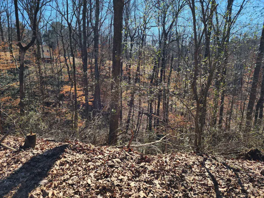 Lot 1 Acorn Ave #1, Cullman, AL 35055 - Image #2