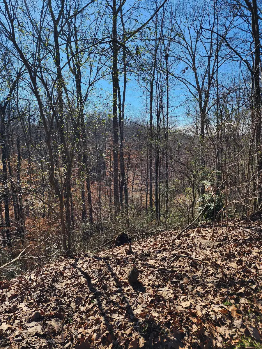 Lot 1 Acorn Ave #1, Cullman, AL 35055 - Image #3