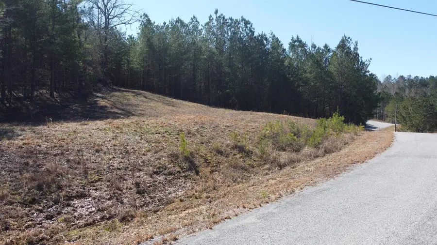 Lot 10 Highland Shr Subdivision, Jasper, AL 35503 - Image #2