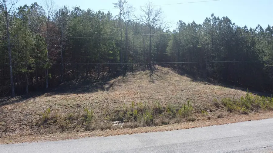 Lot 10 Highland Shr Subdivision, Jasper, AL 35503 - Image #3