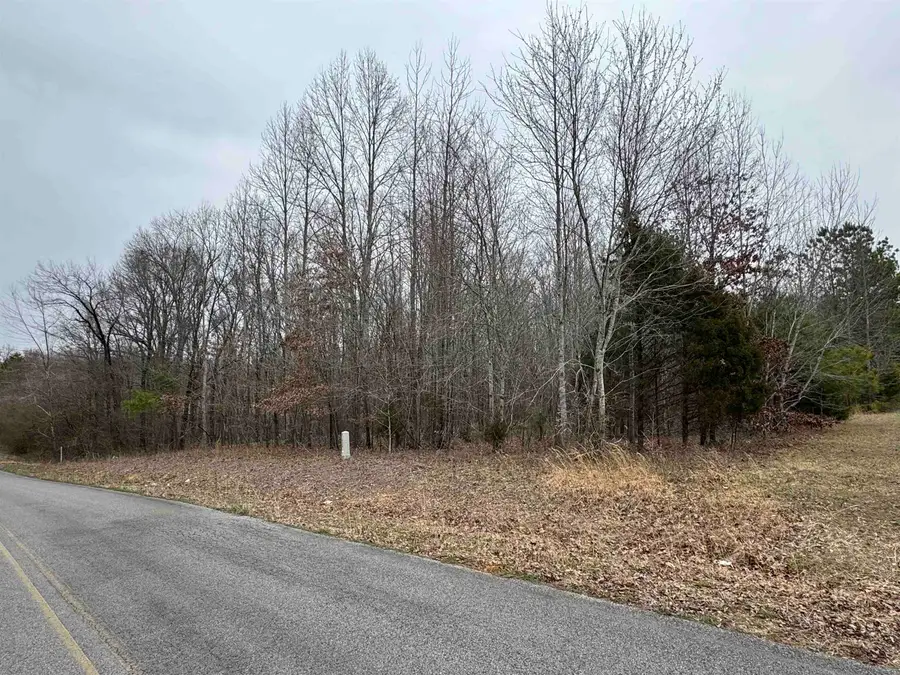 1022 Co Rd 545, Rogersville, AL 35652 - Image #3