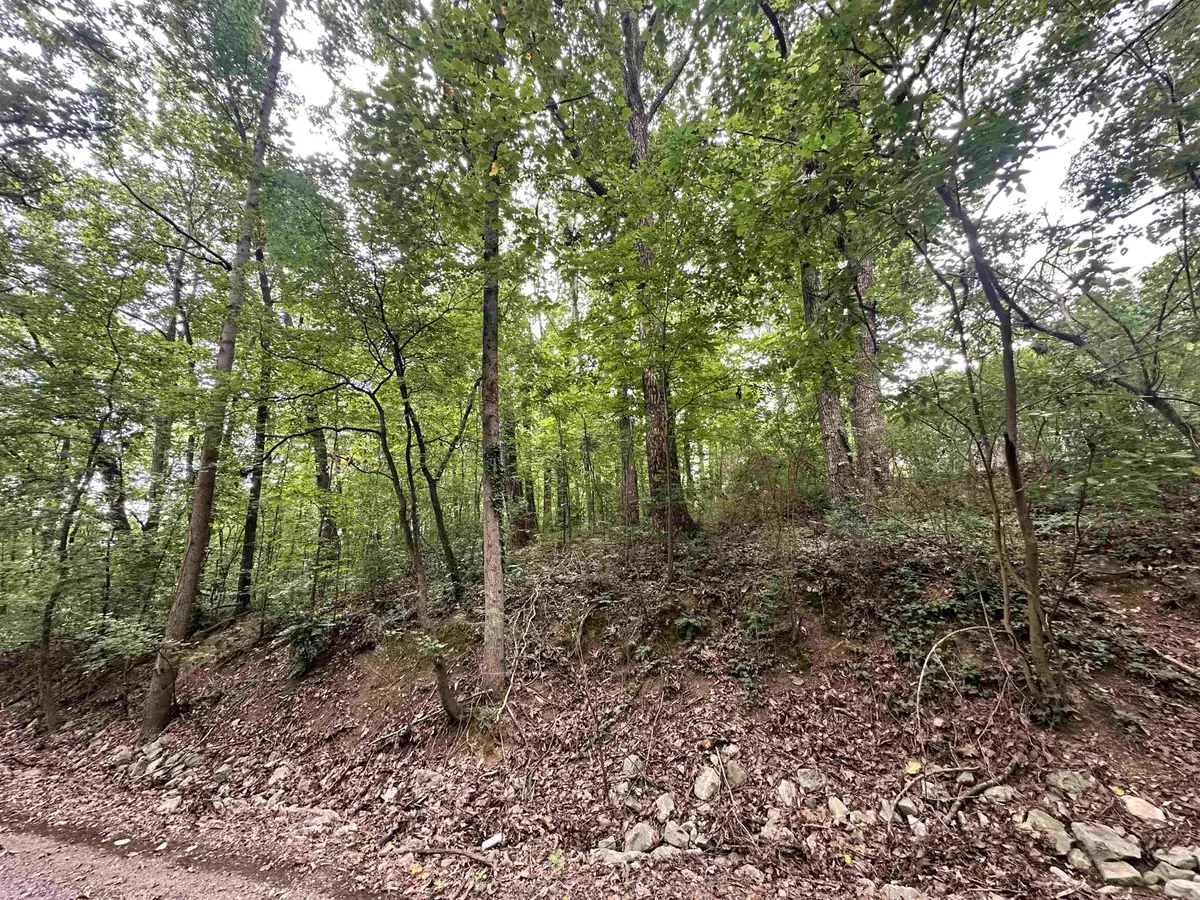 LOT 24 Oakhill Dr, Cullman, AL 35055 - Image #1