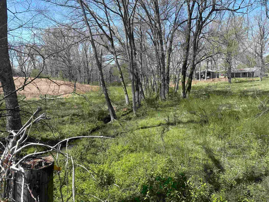 3.14 acres Hwy 101, Rogersville, AL 35652 - Image #3