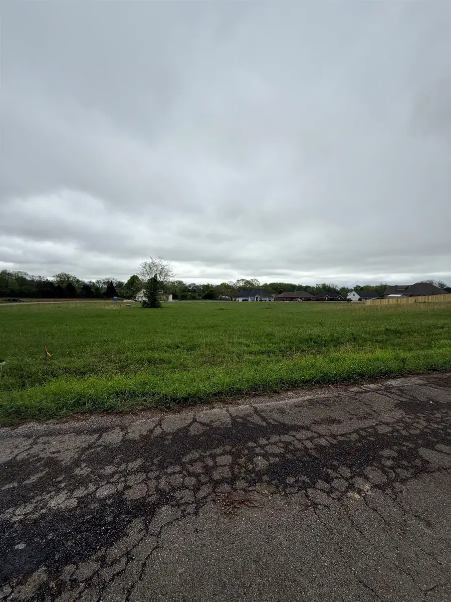 870 Oakview Cir, Killen, AL 35645 - Image #3