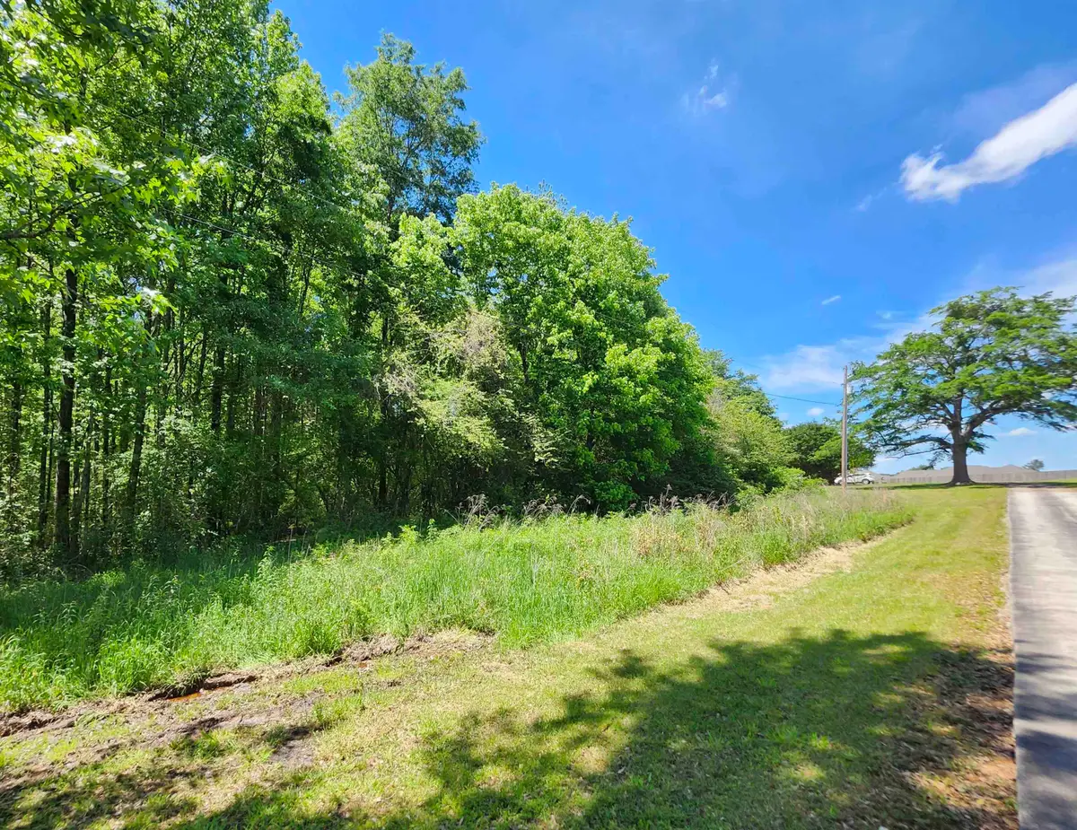 TBD Leeman Dr, Cullman, AL 35055 - Image #1