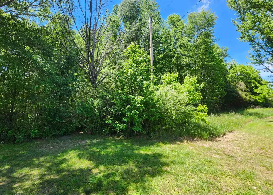 TBD Leeman Dr, Cullman, AL 35055 - Image #3