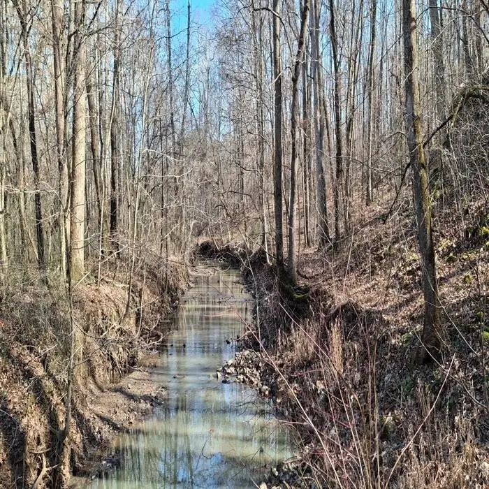 0 Posey Lp, Tuscumbia, AL 35674 - Image #2