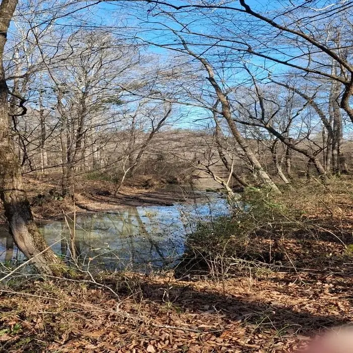 0 Posey Lp, Tuscumbia, AL 35674 - Image #3