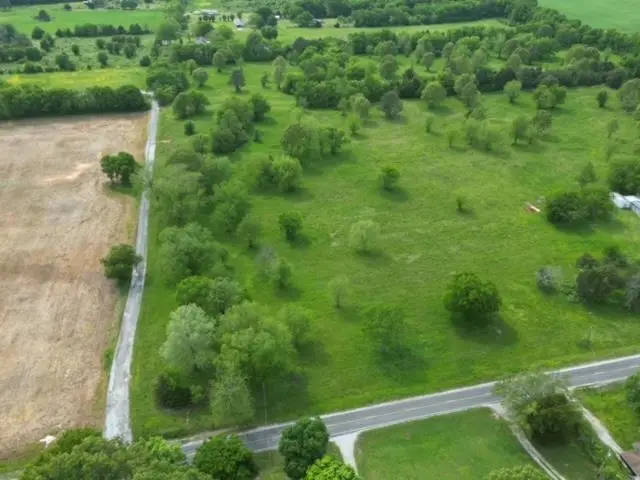 805 Riley Rd, Leighton, AL 35646 - Image #3