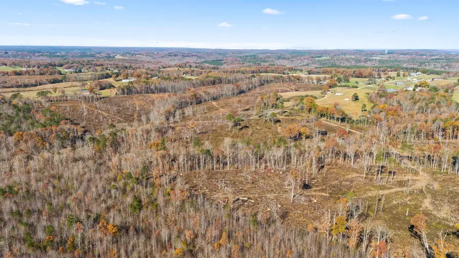 40 AC #1 Co Rd 1067, Vinemont, AL 35179 - Image #2