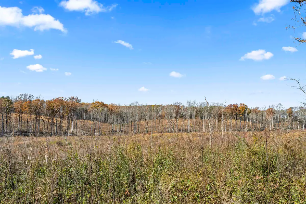 40 AC #2 Co Rd 1067, Vinemont, AL 35179 - Image #1