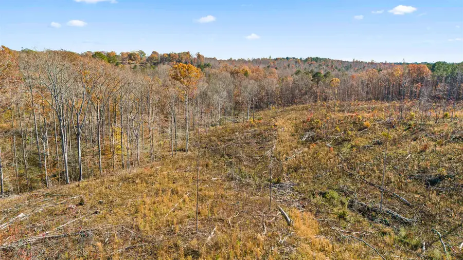 40 AC #2 Co Rd 1067, Vinemont, AL 35179 - Image #3