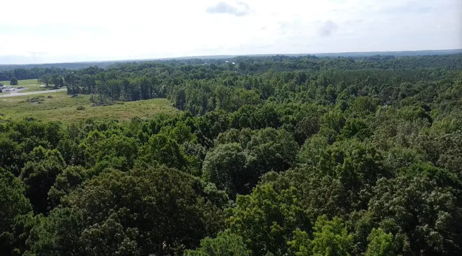 14959 Alabama Hwy 157, Vinemont, AL 35179 - Image #2