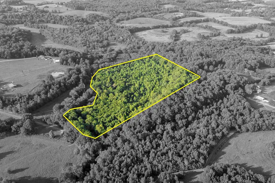 0 Co Rd 88, Anderson, AL 35610 - #2