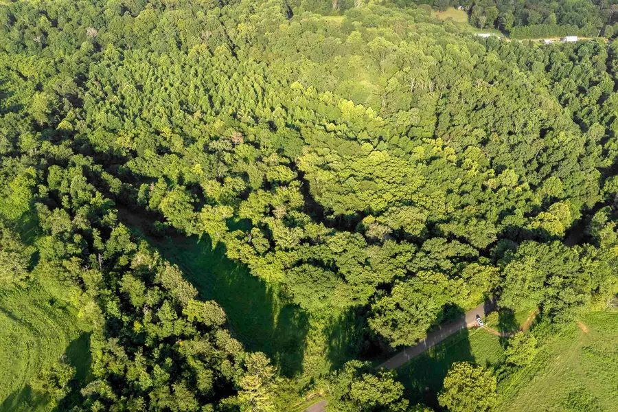 0 Co Rd 88, Anderson, AL 35610 - #3