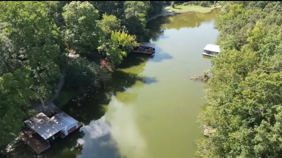 244 Poplar Springs Dr, Rogersville, AL 35652 - Image #3