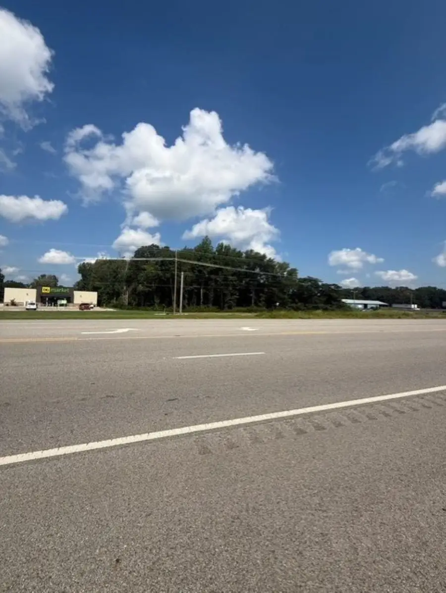 0 N Hwy 43, Killen, AL 35645 - Image #2