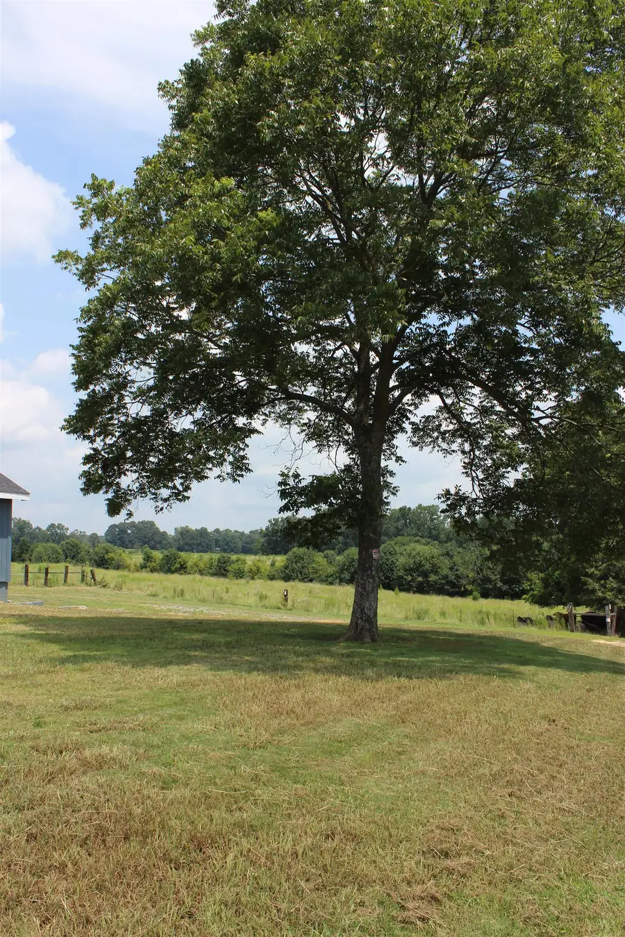 455 Co Rd 1678, Cullman, AL 35058 - Image #2