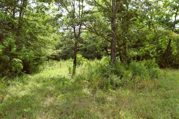 3 acres Co Rd 198, Danville, AL 35619