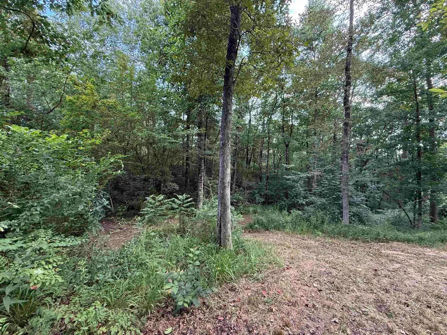 0.66AC Co Rd 1606, Cullman, AL 35058 - Image #2