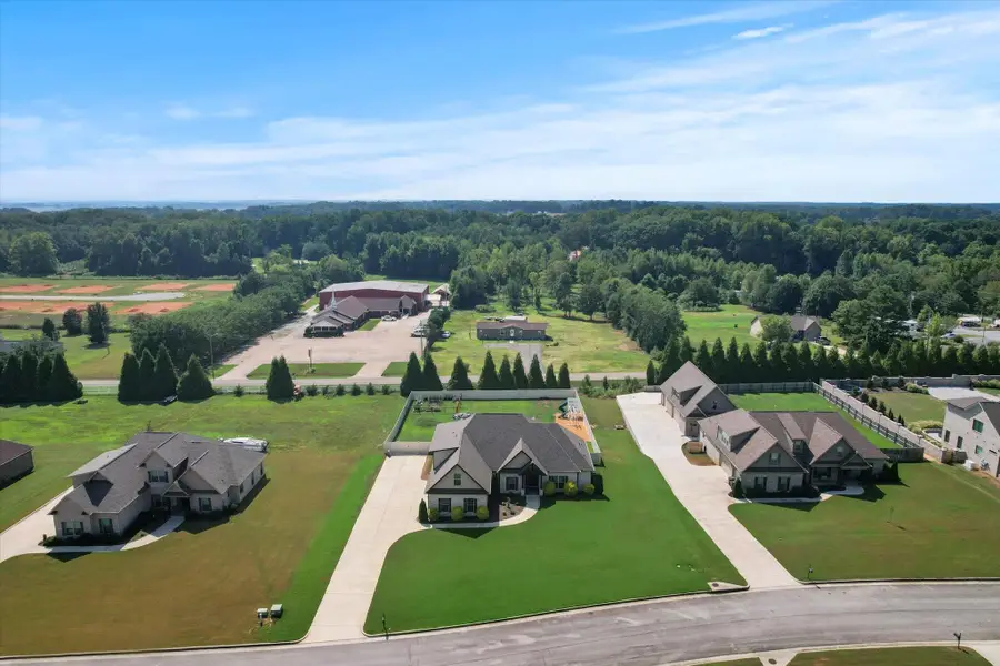 19881 Capitol Hill Dr, Tanner, AL 35671 - #3