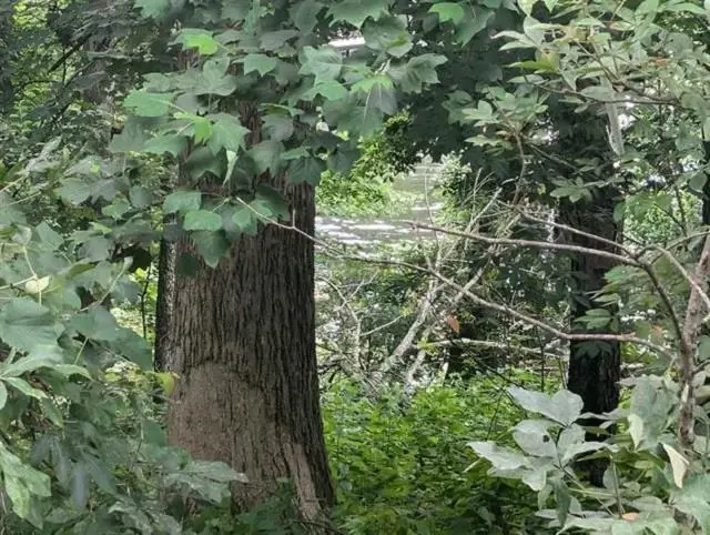 1656 Sky Park Rd, Florence, AL 35634 - Image #1