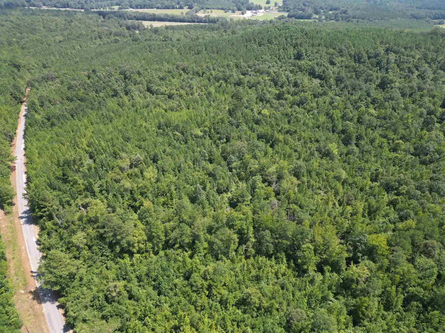 0 Co Rd 26, Detroit, AL 35552 - #2