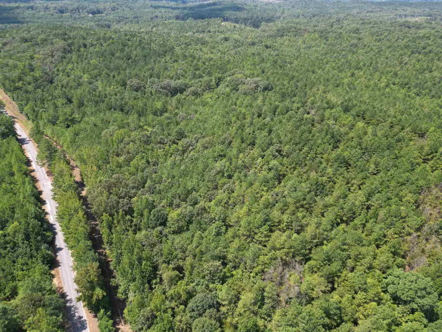 0 Co Rd 26, Detroit, AL 35552 - #3