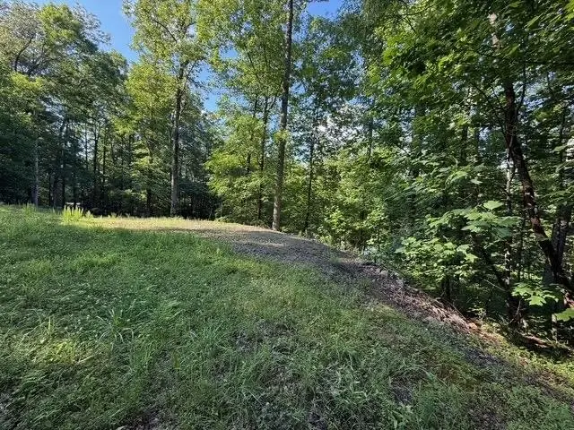 0 Co Rd 693, Crane Hill, AL 35053 - Image #2