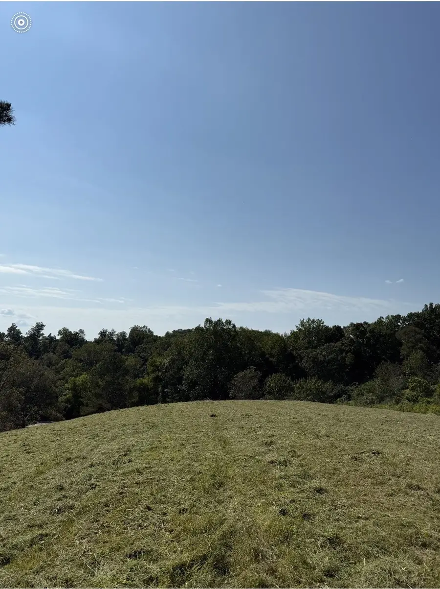 5221 Co Rd 50, Lexington, AL 35648 - #2